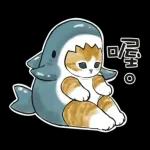 鯊魚貓咪 2