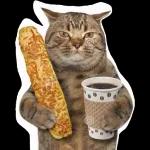 Stickers de gatos