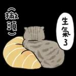 愛撒嬌的奶油小生 (虎斑貓)