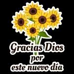 nuevo año