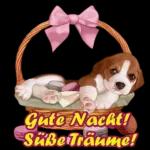 Tägliche Grüße👇🏻