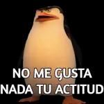 paquete 