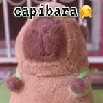 Lo di todo