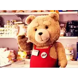 Hi, I'm Ted.