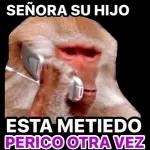 SEÑORA SU HIJO ESTA METIEDO PERICO OTRA VEZ