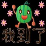 帥氣西瓜--實用日常用語