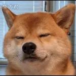 Qué se sentirá ser feo?