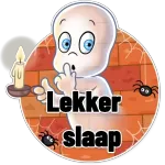 lekker slaap