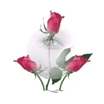 La mañana florece con ti