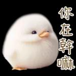 湯圓鴨3 親友間溫馨的聯絡詞