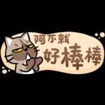 貓爪抓 -小小的你問我答抓-