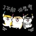 SHIBANBAN微笑柴犬-寶寶逃避現實