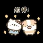 Hello Kitty 50週年 x 天竺鼠布丁 溫暖日常