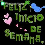 feliz inicio  