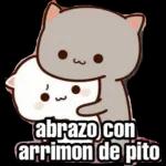 Chupoñeise Ya cállese Señora