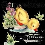 happy weekend