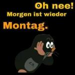 Moin