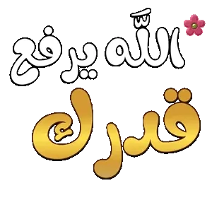 YdFKZ9