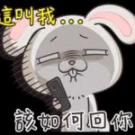 very miss rabbit 2