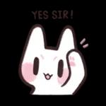 猫猫本来就不应该工作 2