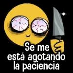 Lo di todo