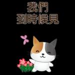 實用大貼圖 職場日常 可愛花貓