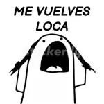 ME VUELVES LOCA