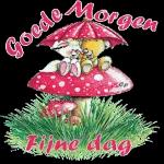 Goedemorgen