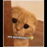 Uyyyy que problema ......
