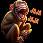 grupo
