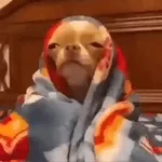 ¡Buenas Noches!