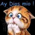 Buenos días 