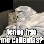 chingas a tu madr#