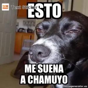 ESTO ME SUENA A CHAMUYO - getsticker.com