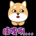 Q版柴犬日常實用貼圖