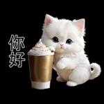 白色的貓尤其可愛