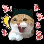 在幹森麼？小貓咪在呼叫中》〉》