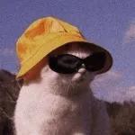 kucing ngambek 