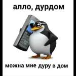 мое