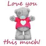 Teddy bear's love