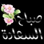 قلوب