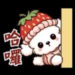 瑪爾濟斯小狗托比的美好生活，日常用語篇