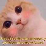 Mis ojitos están enamorados de los tuyos.