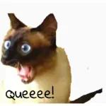 Que tengas una buena mañana.