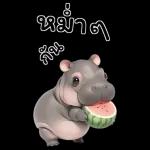 ฮิปโปรักดึงดงบิ๊ก