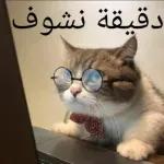 صديق، هذا طاح منك