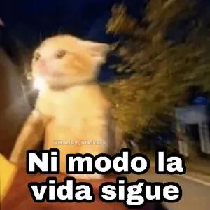 DufDOL