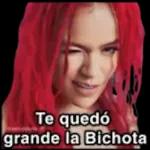 Karol g's meme