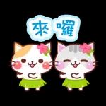 會動的♪ 喵喵團【夏季篇】