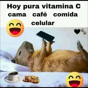 Hoy pura vitamina C cama café comida celular - getsticker.com